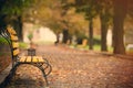 Photo of beautiful autumn park full of benches and folliage in w