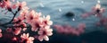 photo beautiful cherry blossom banner with air droplet ai generated Royalty Free Stock Photo