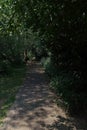 A Photo Of A Beautiful Day A Long The River Soar Leicester, Uk Royalty Free Stock Photo