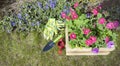 Photo of a beautiful garden composition of objects and tools necessary for landscape design of the garden with copy space. Flower Royalty Free Stock Photo