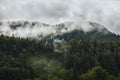 Photo of beautiful moody misty green coniferous forests in austrian Alps