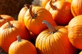 Photo of beautiful pumpkins at outdoor farmer local market in sunny autumn day.