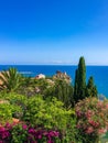 Beautiful view on the sea and plants, Cefalu, Sicily, Italy Royalty Free Stock Photo