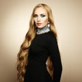 Photo of beautiful woman with magnificent hair. Perfect makeup Royalty Free Stock Photo