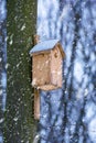 Photo of wooden birdhouse in the forest in winter