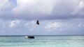 A photo of a beautifully filtered bat in Maldives Royalty Free Stock Photo