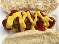 Beef Hot Dog With Relish, Ketchup and Mustard for Lunch Royalty Free Stock Photo