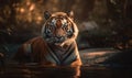 photo of Bengal tiger sitting in water. Generative AI Royalty Free Stock Photo