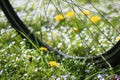 Bicycle wheel in the spring grass