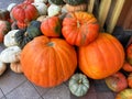 Big and Little Pumpkins for Sale