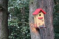 Beautiful birdhouse for the birds Royalty Free Stock Photo