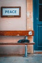 photo of black cat with peace sign no war Ukraine in Cyprus urban city
