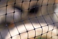 Photo of black plastic mesh Royalty Free Stock Photo