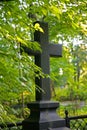 The photo of the black stone of the Christian cross on a background of sunlit abundant forest-Park greenery of trees, shrubs and