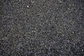 Photo of Black wet gravel