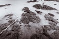 Photo Black and White of Long Exposure Photography Waves on stone beach waters edge abstract sea background.Thailand Royalty Free Stock Photo