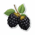 Blackberry Vector Sticker On White Background - Graphic Design Inspired