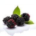 Blackberry Product Photography On White Background