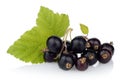 Photo of blackcurrant with leaf on white Royalty Free Stock Photo