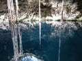 Tropical Cenote in Yucatan Mexico