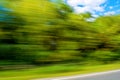 Photo of blurred green plants, motion background Royalty Free Stock Photo