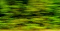 Photo of blurred green plants, motion background Royalty Free Stock Photo