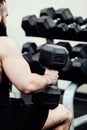 Photo Bodybuilder working out in the gym weights Royalty Free Stock Photo