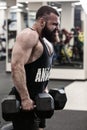 Photo Bodybuilder working out in the gym weights Royalty Free Stock Photo