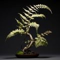 Detailed Fern Bonsai: A Stunning Creation Inspired By Thomas Wrede