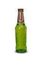 Photo of a bottle beer of Ursus