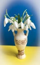 Photo of the bouquet of the first spring flowers snowdrops in the vase on the Ukrainian flag background
