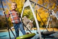 Photo of boy swinging on swing on autumn afternoon Royalty Free Stock Photo