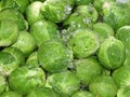 Brussels sprout washing