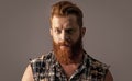 photo of brutal masculine man face with beard. brutal masculine man  on grey. Royalty Free Stock Photo