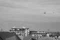 A photo of the buildings in the city and the birds flying around.