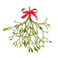 Bunch of Mistletoe on white background.