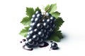 Photo of a Cabernet Sauvignon grape with leaves isolated on solid white background. ai generative