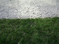 ÃÂsphalt and grass