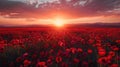 Sunset Glow Over Poppies Field: A Serene Nature Landscape Royalty Free Stock Photo