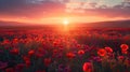 Sunset Glow Over Poppies Field: A Serene Nature Landscape Royalty Free Stock Photo