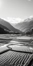 Luminous Reflections: Black And White Landscapes Of Mountains And Rice Fields