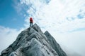 This photo captures a person enjoying the breathtaking view from the peak of a majestic mountain, A climber reaching the summit of