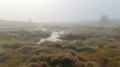 Misty Moorland in Summer