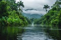 This photo captures a serene body of water surrounded by an abundance of vibrant green trees, Tropical rainforest river under