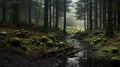 Enchanting Forest In Yorkshire: A Captivating Natural Beauty