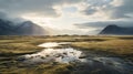 Arctic Wetland: A Serene Sunset Landscape With Water And Grass