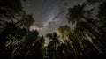 Beneath the Night Sky: A Peaceful Moment in the Beeche Forest Generative AI Royalty Free Stock Photo