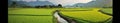 Photo of a vast grassland with rice fields extending Royalty Free Stock Photo