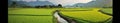 Photo of a vast grassland with rice fields extending