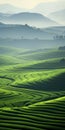 Futuristic Chromatic Waves In A Serene Green Field: A National Geographic Photography By Martin Rak